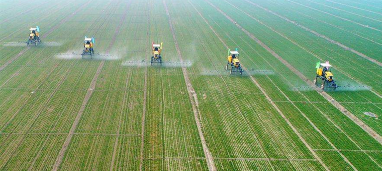 為農(nóng)服務(wù)國家隊(duì)-1