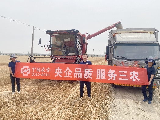 三夏大忙助豐收系列1：田間助農(nóng)，顆粒盡收